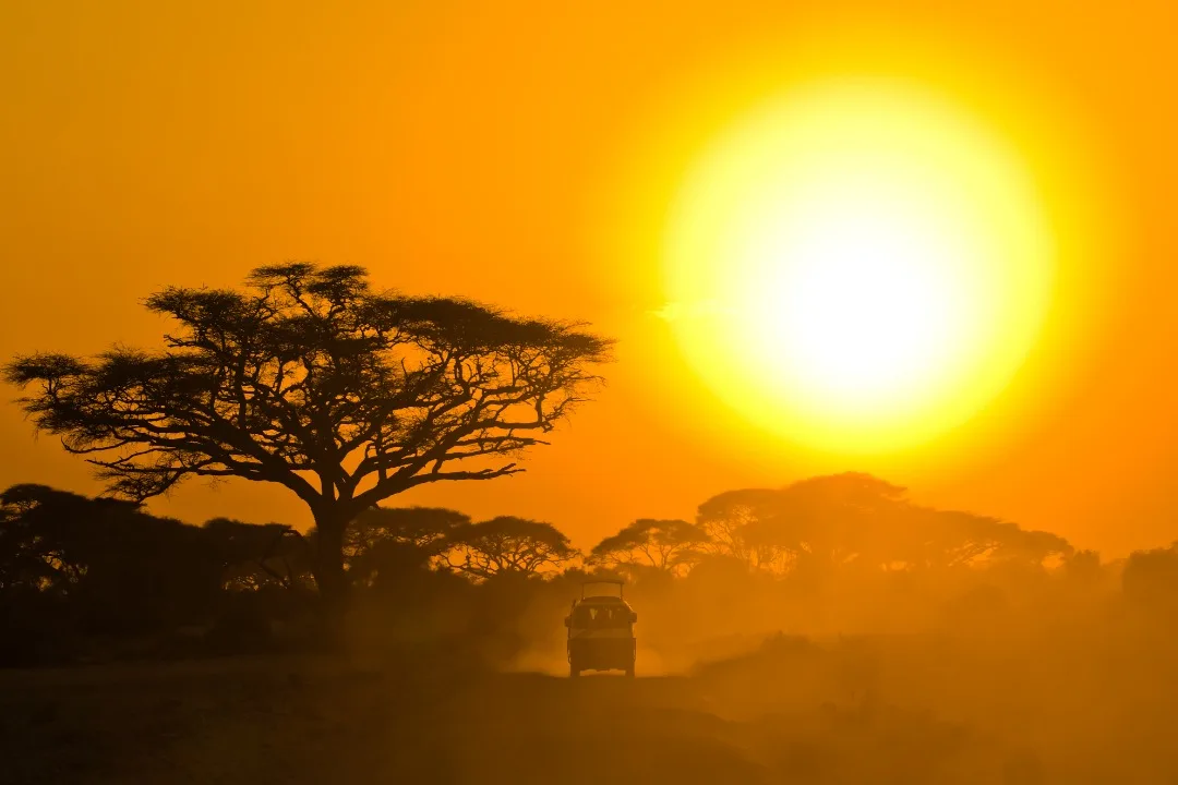 Safari Vehicles